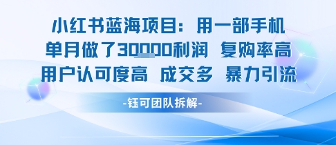 小红书蓝海项目，一部手机单月做了3W利润，小白也能月入过1W用户认可度高成交多-枫客网创