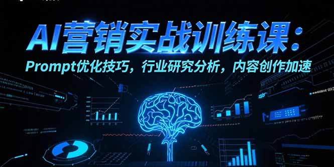 AI营销实战训练课：Prompt优化技巧，行业研究分析，内容创作加速-枫客网创