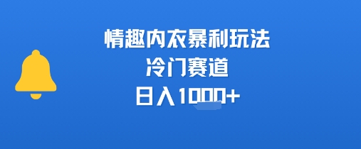 情趣内衣暴利玩法，冷门赛道，日入1k+-枫客网创
