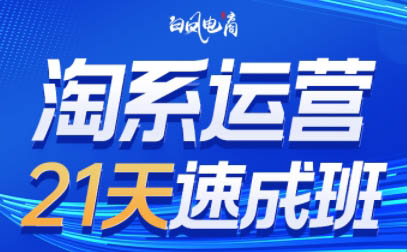 白凤电商·淘系运营21天速成班(更新7月)-枫客网创