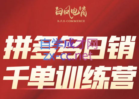 白凤电商·拼多多日销千单训练营(更新7月)-枫客网创