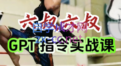 六叔的AI指令实战课(更新7月)-枫客网创
