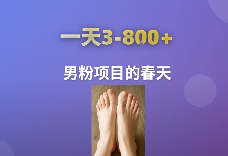 AI一键生成美女素材，一天收益3-8张，男粉项目的春天-枫客网创