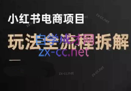 菲菲老师·小红书电商玩法(更新7月)-枫客网创