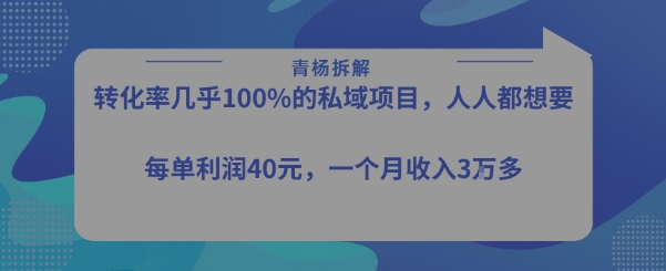 转化率最高的私域项目，每单利润40-50米，月入过1w-枫客网创