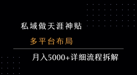 私域做天涯神贴 多平台布局 月入5k+详细流程拆解-枫客网创