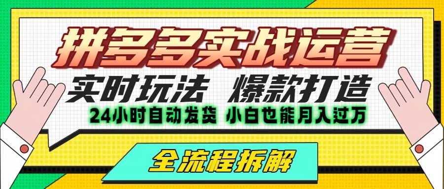 拼多多最新实战运营高投产：长久稳定项目，单店利润一天三位数-枫客网创