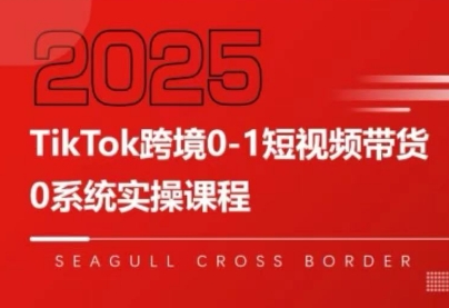 大亿老师·TikTok跨境0-1短视频带货-枫客网创