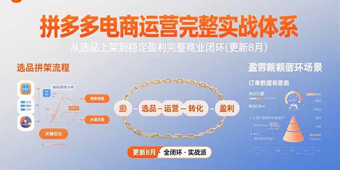 拼多多电商运营完整实战体系，从选品上架到稳定盈利完整商业闭环(更新8月-枫客网创