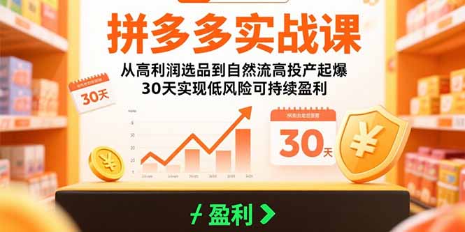 拼多多实战课：从高利润选品到自然流高投产起爆 30天实现低风险可持续盈利-枫客网创