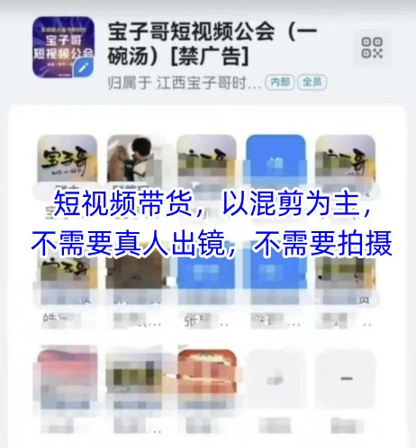 宝子哥头部团队短视频带货，以混剪为主，不需要真人出镜，不需要拍摄【更新8月】-枫客网创