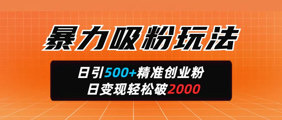 暴力吸粉玩法，日引500+精准创业粉，日变现轻松破2000-枫客网创