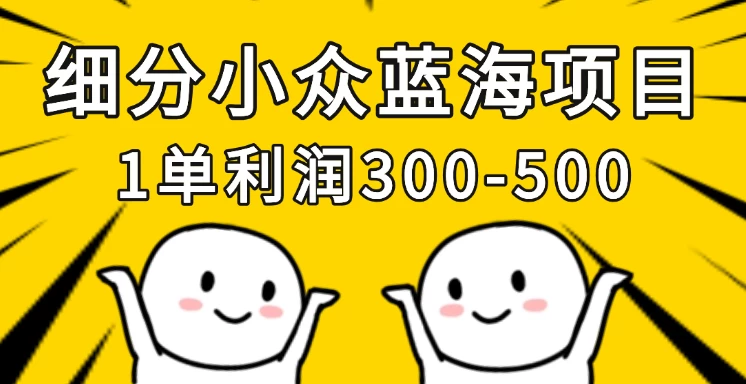 细分小众蓝海项目，一单利润300-500，每月收入稳定4w+-枫客网创