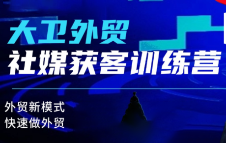 大卫老师·外贸社媒获客独家训练营(更新)-枫客网创