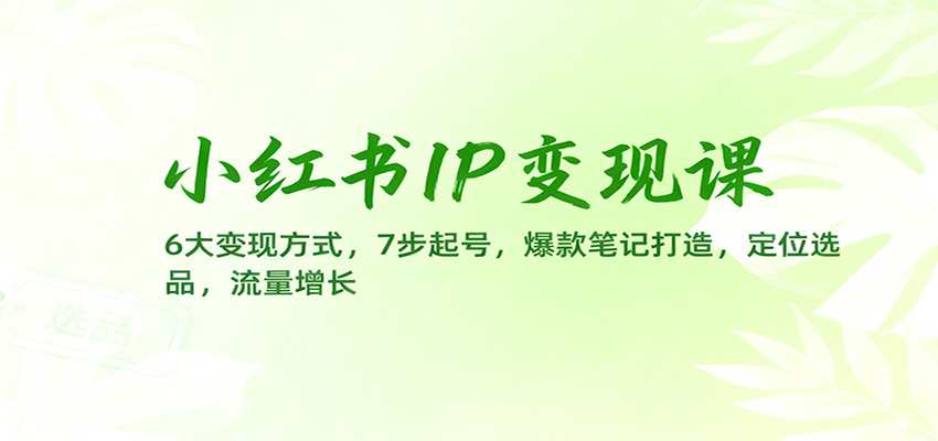 小红书IP变现课：6大变现方式，7步起号，爆款笔记打造，定位选品，流量增长-枫客网创