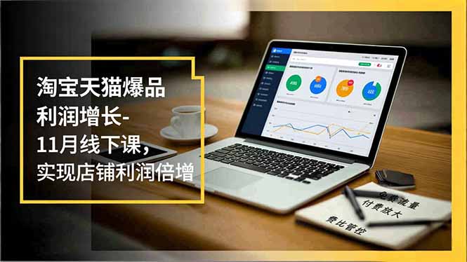 淘宝天猫爆品利润增长-11月线下课,免费流量、付费放大、费比管控,实现店铺利润倍增-枫客网创
